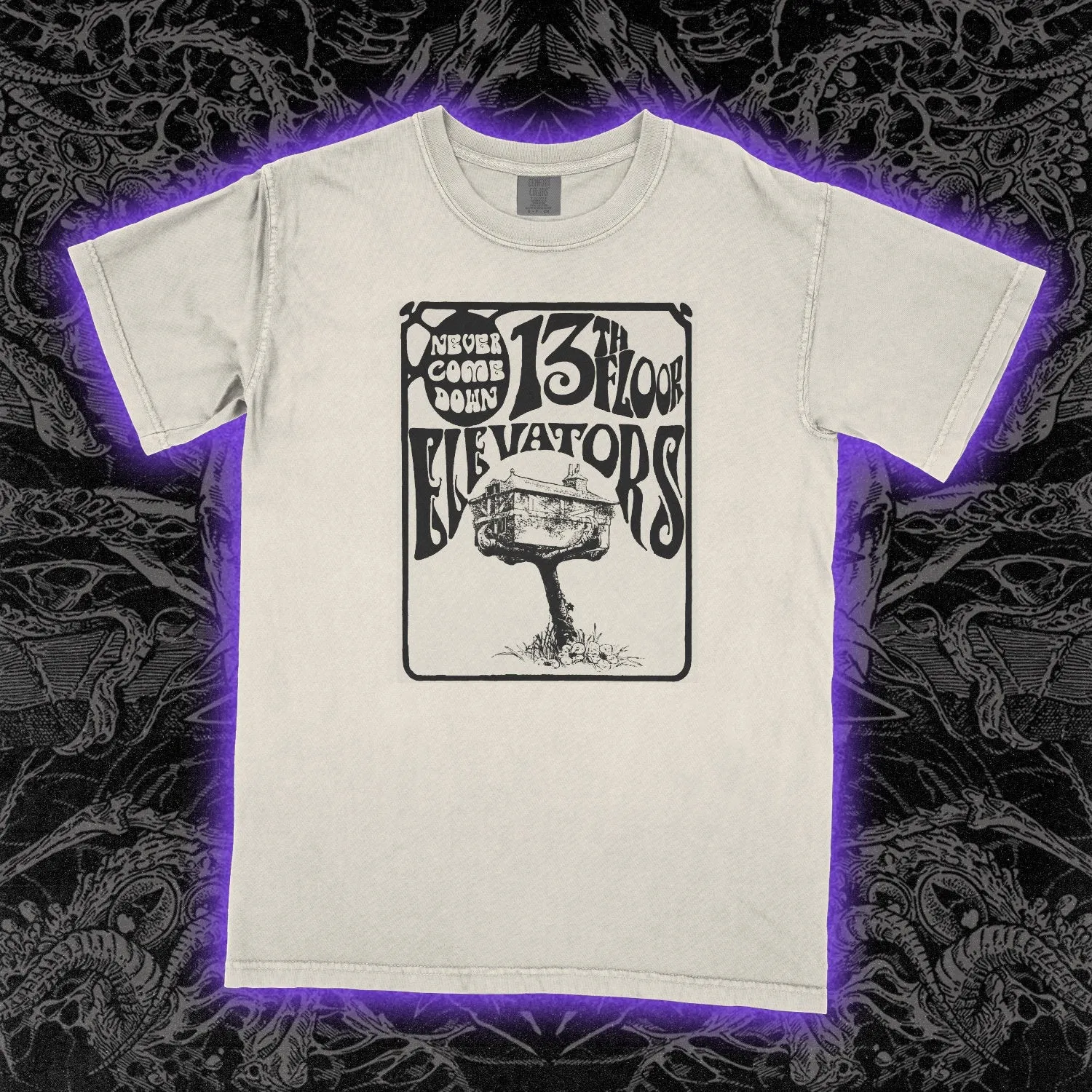 13th Floor Elevators Never Come Down