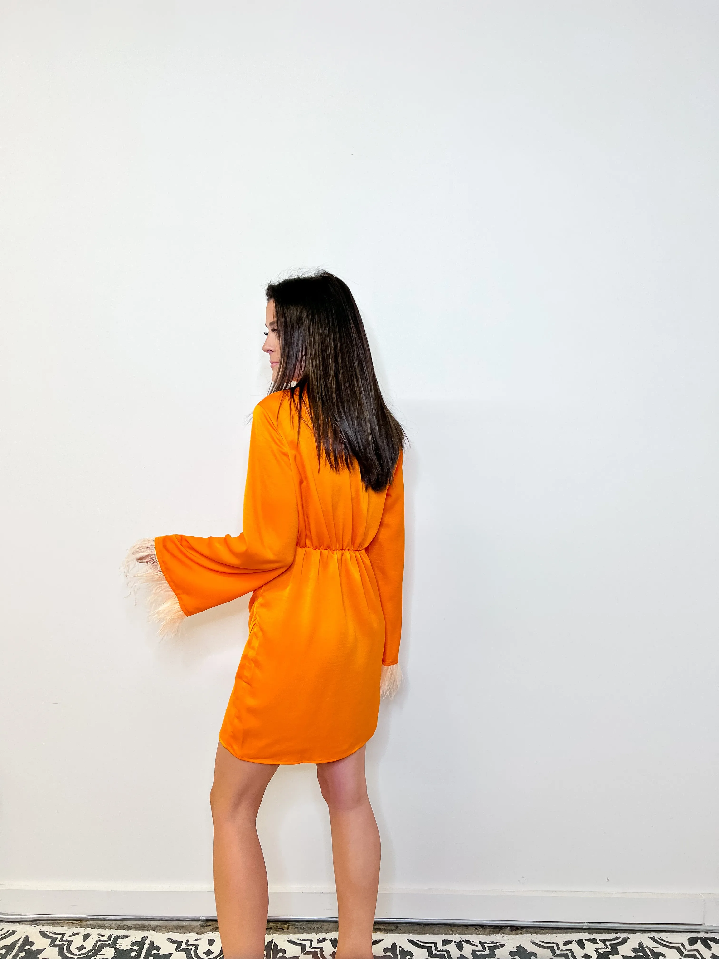 Feather Me Up Mini Dress