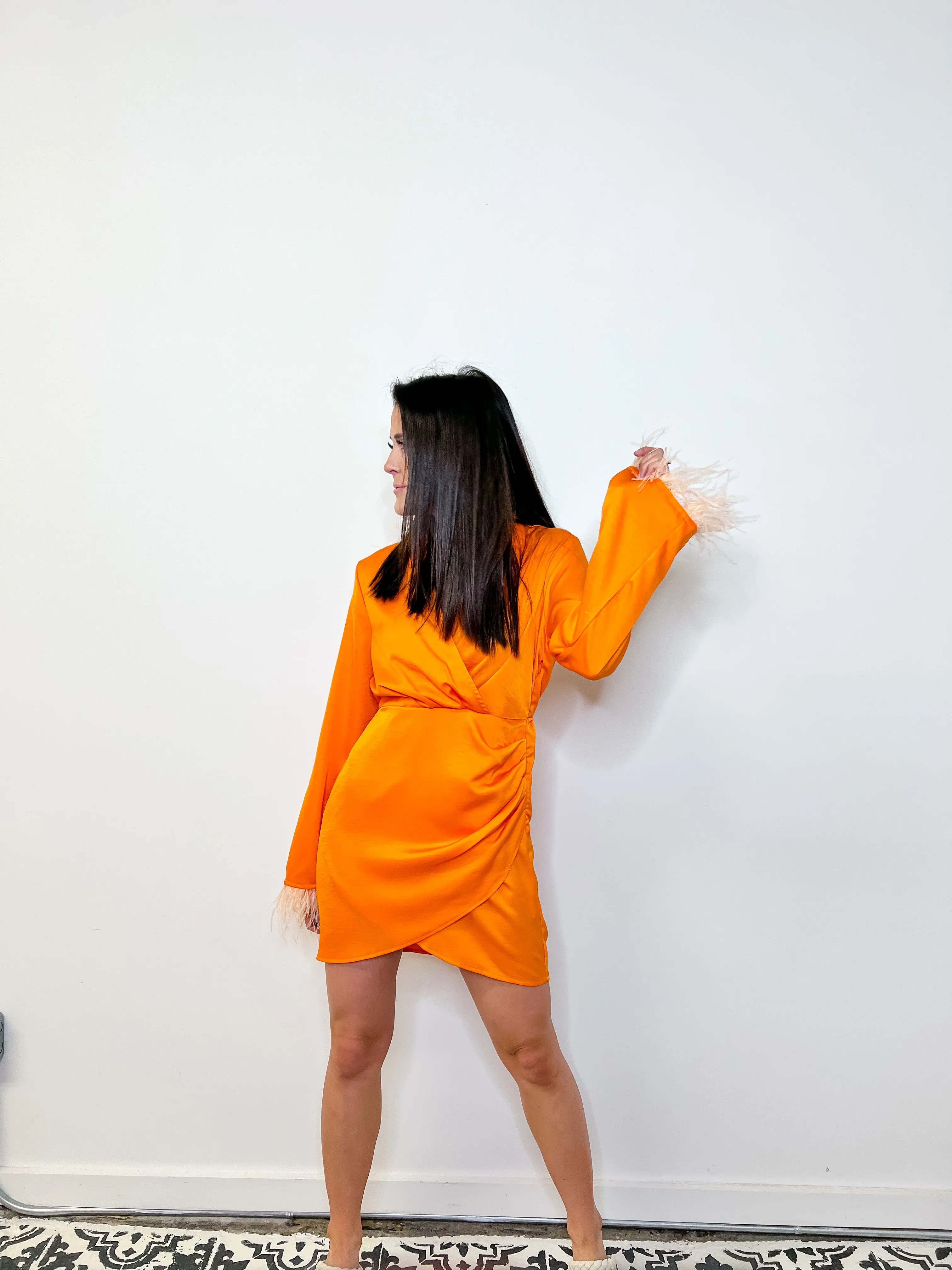 Feather Me Up Mini Dress