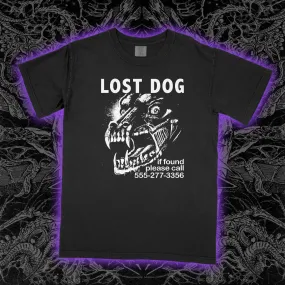 Lost Dog